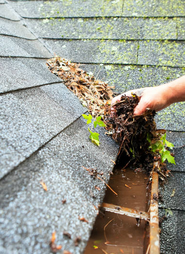 Gutter Cleaning & Repairs